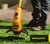 Banner de Dibra