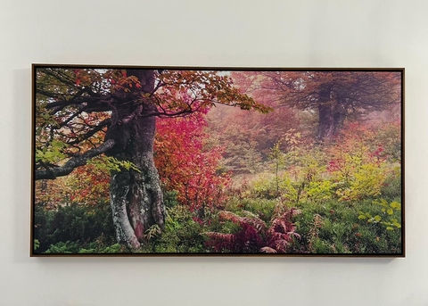 Quadro Canvas com Moldura 120x60cm