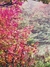 Quadro Canvas com Moldura 120x60cm na internet