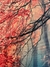 Quadro Canvas com Moldura 120x60cm - Juliana Baczynski Iluminação Decorativa