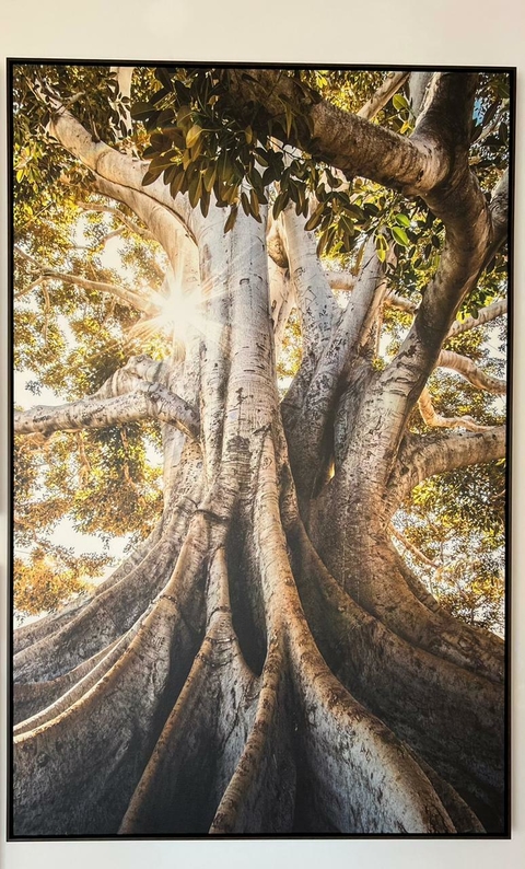 Quadro Canvas com Moldura 100x150cm