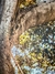 Quadro Canvas com Moldura 100x150cm - comprar online