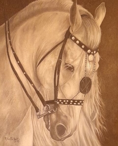 RITA SHULTZ - "Cavalo Mangalarga Marchador" - ÓLEO SOBRE TELA, MED. 40X50, DATADO DE 2019.