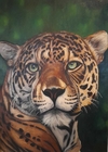 RITA SHULTZ - " ONÇA PINTADA" - Óleo sobre painel (Compensado Naval) - Med. 1,00x0,80cm