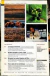 NATIONAL GEOGRAPHIC ABRIL DE 2002 EN ESPAÑOL en internet