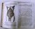 JAMAIN 1874 TRATADO ELEMENTAL DE ANATOMIA DESCRIPTIVA Y PREPARACIONES ANATÓMICAS - LIBRERÍA EL FAROLITO