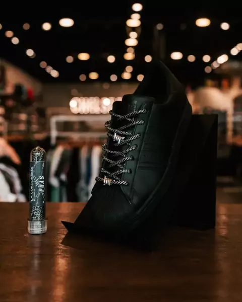 Cordones Ice Black - La Cordoneria