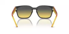 AN4325 by Arnette - comprar online