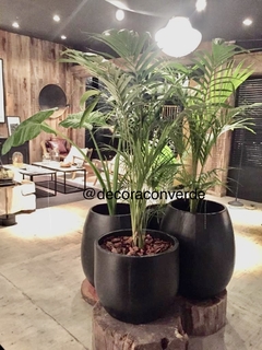 Maceta Salteña 50 cm de diámetro incluye Alocasia en internet
