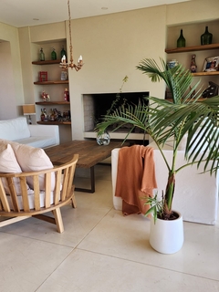 Mini Gota con Palmera alta - comprar online