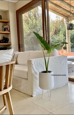 Maceta Gota Fibra de Vidrio con pie de hierro más planta tropical - comprar online