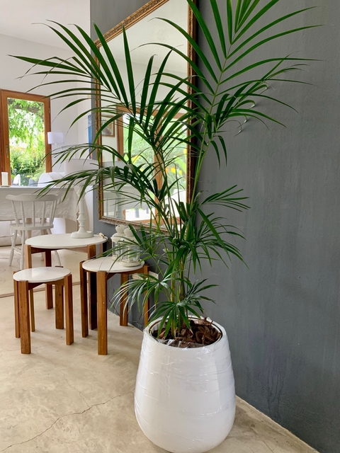 Malbec 40 rotomoldeo liso con palmera alta