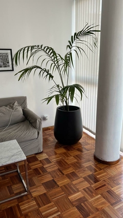 Malbec grande + palmera alta - comprar online