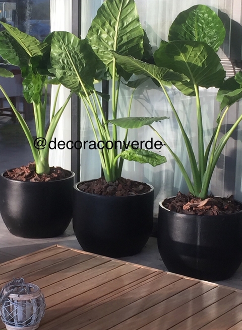 Maceta fibrocemento TARTAGAL con planta a eleccion