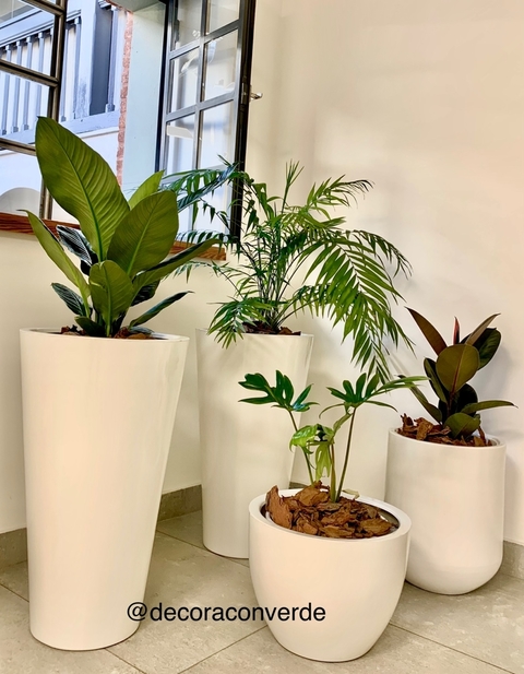 CONO FIBRA DE VIDRIO 70 cm Altura CON PLANTA A ELECCION