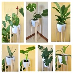 Pie portamaceta de madera con maceta blanca más planta - comprar online