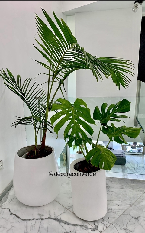 Cilindro Fibra de Vidrio Altura 40 cm con planta a elección