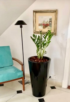 CONO FIBRA DE VIDRIO 70 cm Altura CON PLANTA A ELECCION - comprar online
