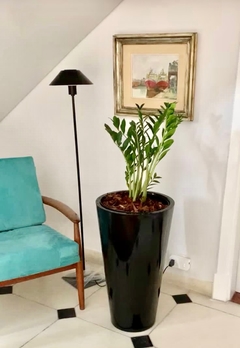 CONO FIBRA DE VIDRIO 70 cm Altura - comprar online