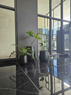 Maceta alta 70 cm con planta a elegir Liviana - comprar online
