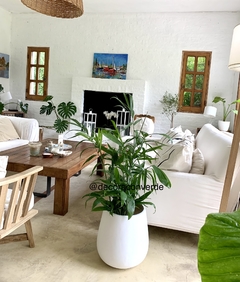 Maceta gota Malbec 50 ROTOMOLDEO LISO con planta a elegir!