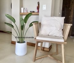Maceta FIBRA DE VIDRIO GOTA con Strelitizia Reginae