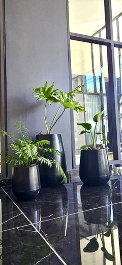 Maceta alta 70 cm con planta a elegir Liviana