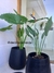Imagen del carrusel Decora con Verde