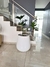 Imagen del carrusel Decora con Verde