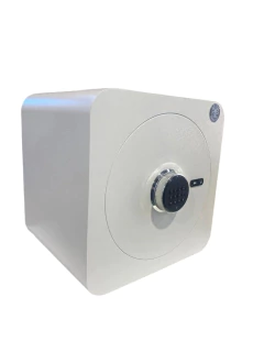 LIVIANA PLUS 40 CON ELECTRONICA - Borges Buenos Aires