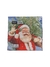 20 Servilletas Santa