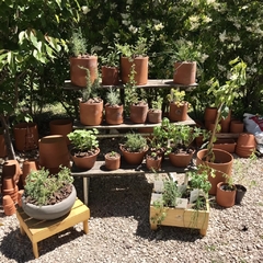 WORKSHOP ¡UNA HUERTA EN TU CASA! - VIRTUAL - Plantery
