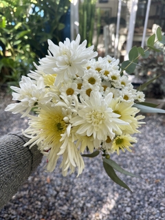 RAMO DE FLORES MEDIANO "AMORE MIO"