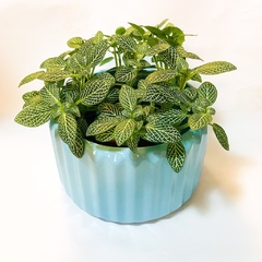 MACETA CARRUSEL GRANDE - Plantery