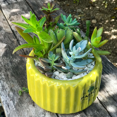 MACETA CARRUSEL MEDIANA - tienda online