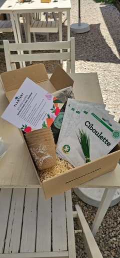 BOX PLANTSLOVERS en internet