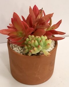 MINIGARDEN CILINDRO - comprar online
