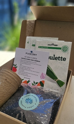 BOX PLANTSLOVERS - Plantery