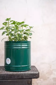 MACETA CHAPA INDIVIDUAL