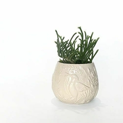 Maceta Colibri - comprar online