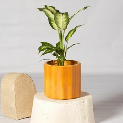 MACETA SAPHI MEDIANA