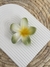 BROCHE