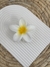 BROCHE