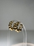 AROS TRENDY
