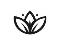 Maca Peruana 100% pura, natural e orgânica