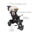 TRICICLO 360° AVANTI BEIGE en internet