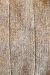 Chaleco Aguila - tienda online