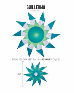 Libro 2 - Estrellas de Maximiliano Ortiz - tienda online