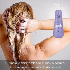 Shampoo Argan Repair 250ml Eol - comprar online