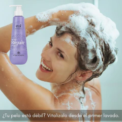 Imagen de Shampoo Argan Repair 250ml Eol